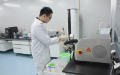 Work at the biosafety cabinet