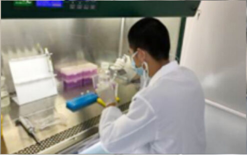 Sample handling at the clean bench