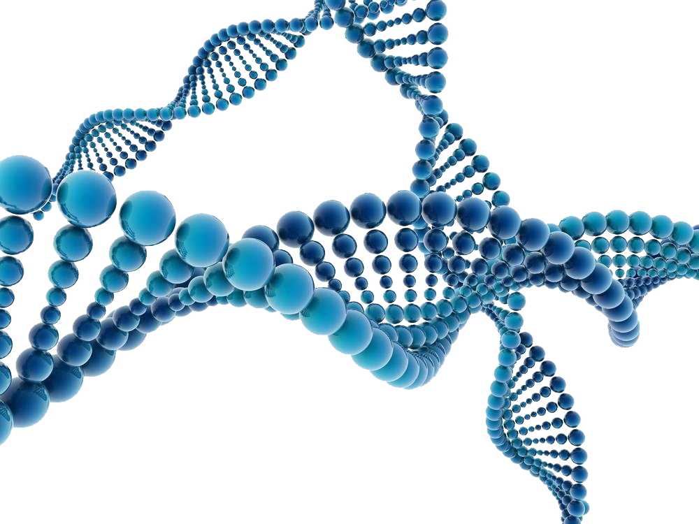DNA double helix illustration