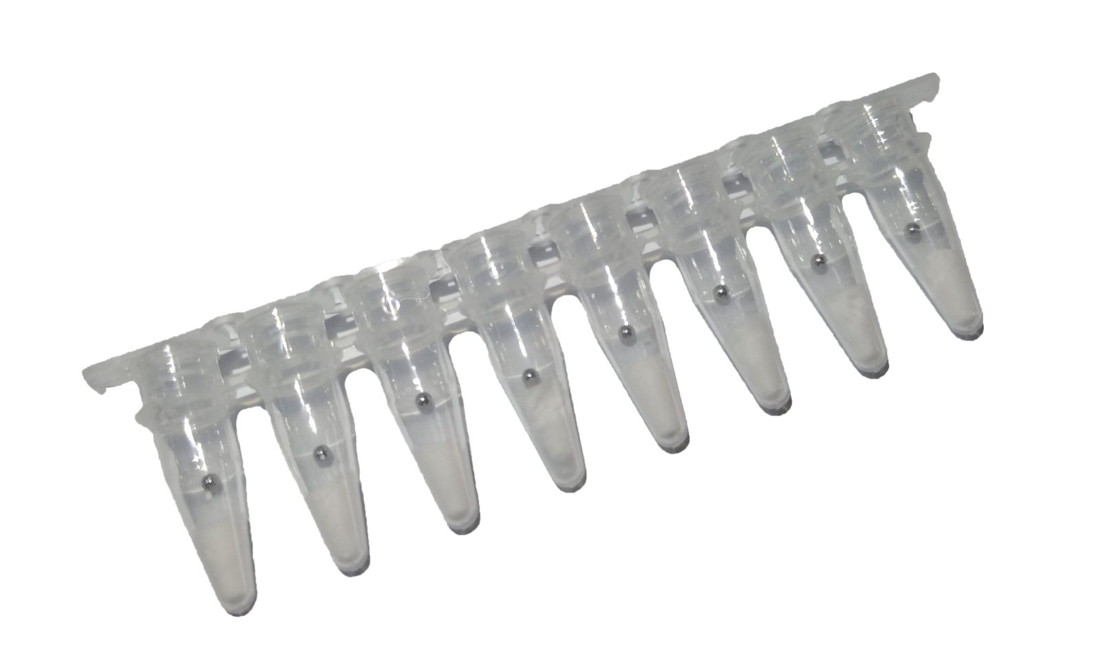 Lyophilised RAA reagent 8-strip tubes